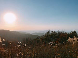 秋を感じて2018