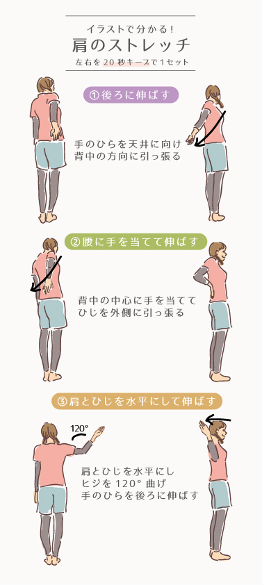 イラストで分かる！肩のストレッチ